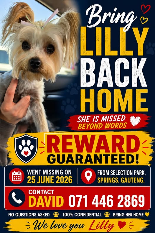 Lost: Missing pet Lilly in Selection Park